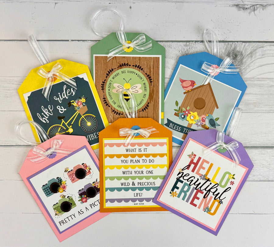 Shop and Show LIVE! May 2026 Megabox!