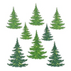 Carta Bella - National Parks Collab Bundle! PRE-ORDER
