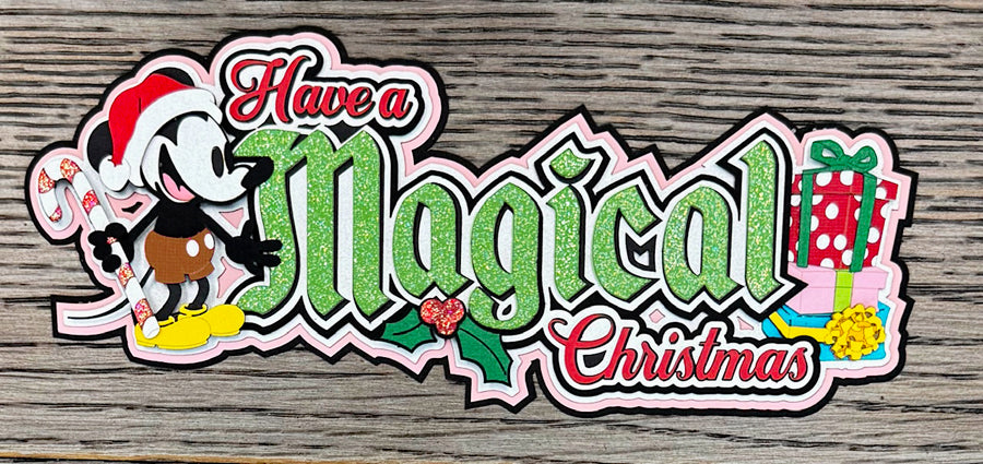 Shop and Show LIVE! Nov 2025 Megabox!