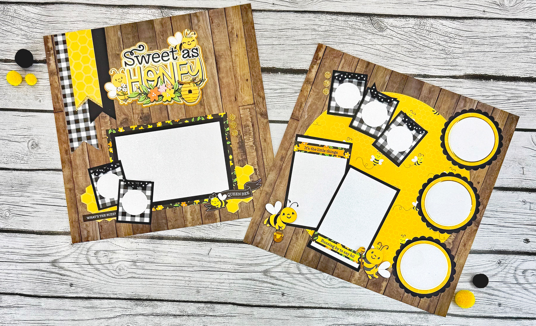 Shop and Show LIVE! May 2025 Megabox!