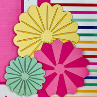 EXCLUSIVE COLLAB Echo Park - Hip Hip Hooray Collection Pink
