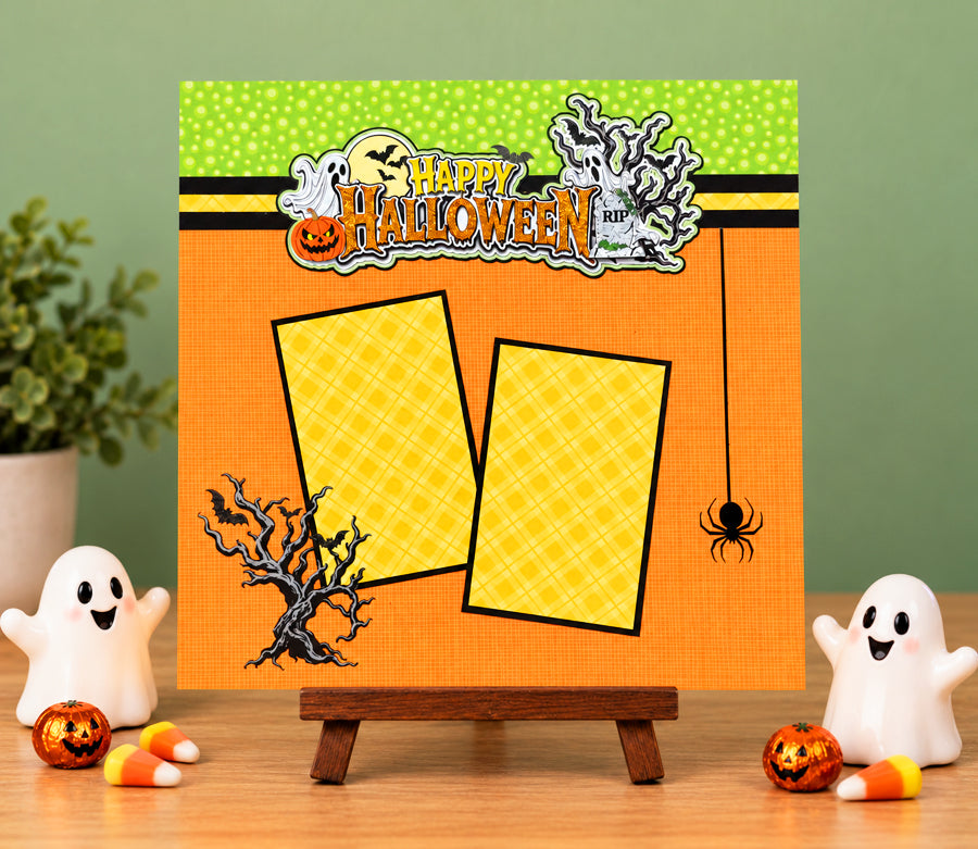 Shop and Show LIVE! November 2026 Megabox!