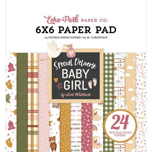 Echo Park - Special Delivery Baby Girl Collection - 6 x 6 Paper Pad