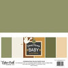 Echo Park - Special Delivery Baby - 12x12 Solids