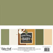 Echo Park - Special Delivery Baby - 12x12 Solids *LAST CHANCE*