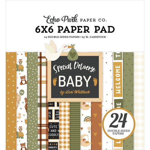 Echo Park - Special Delivery Baby - 6 x 6 Paper Pad