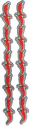 Chili Pepper Borders - *NEW*