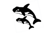 Killer Whales