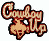 Cowboy/girl Up! - LAST CHANCE!