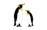 Penguins