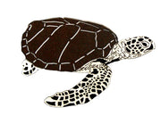 Sea Turtle